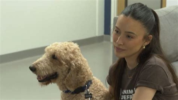 'The Walking Dead' actress visits dog who survived GA abuse case