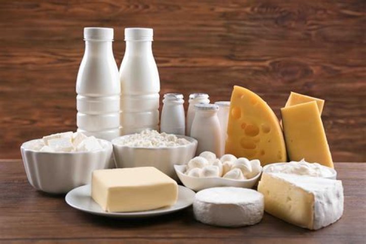 10 Fascinating Facts About Dairy