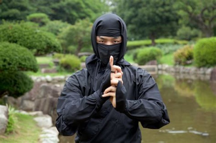 10 Fun Facts About Ninjas