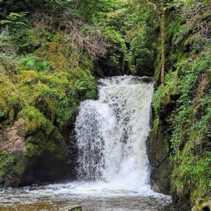 11 Astonishing Facts About Geroldsauer Wasserfall
