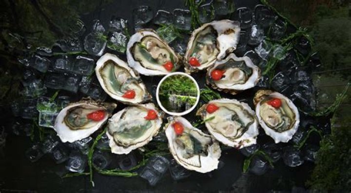11 Facts About Oyster Festival