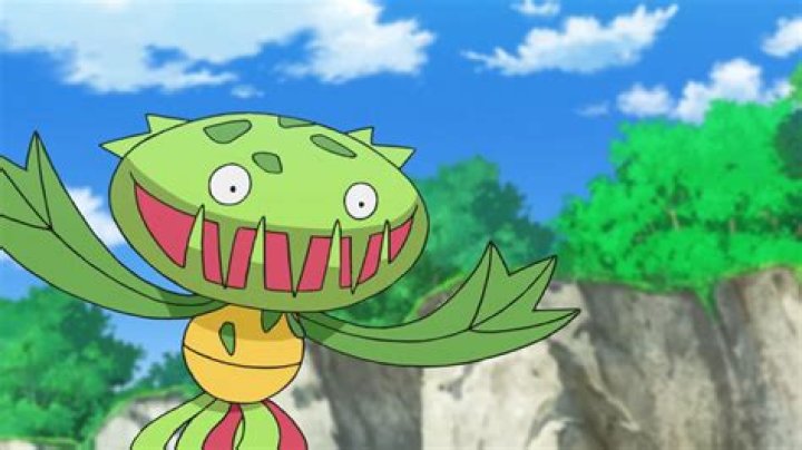 12 Facts About Carnivine - Facts.net