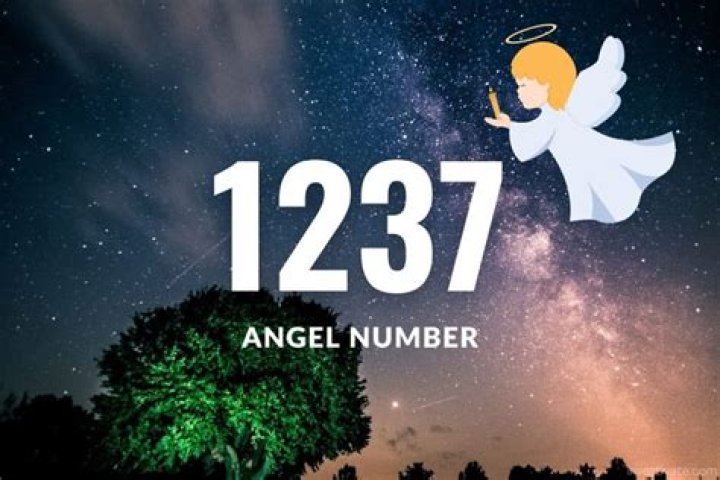 1237 Angel Number Meaning - Pulptastic