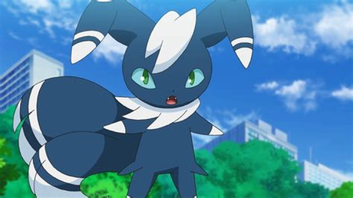 13 Facts About Meowstic - Facts.net