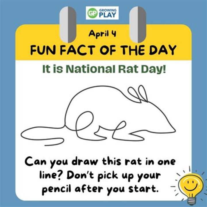 13 Facts About World Rat Day (April 4th)