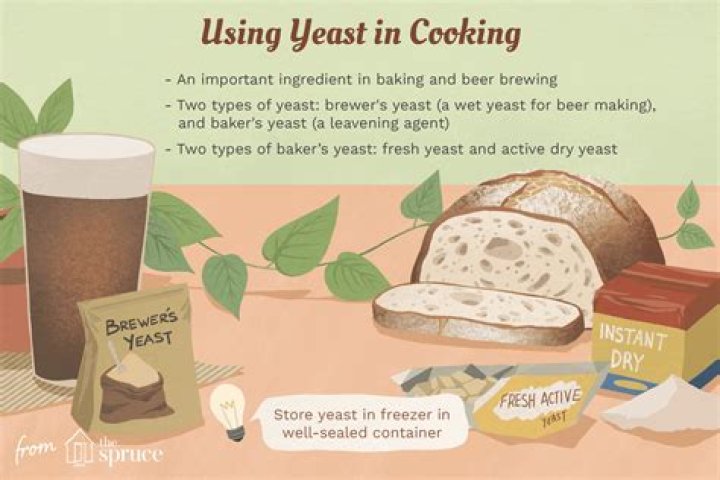 13 Facts About Yeast - Facts.net