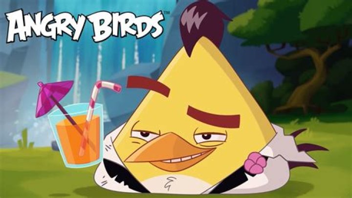 14 Facts About Chuck (Angry Birds Toons)