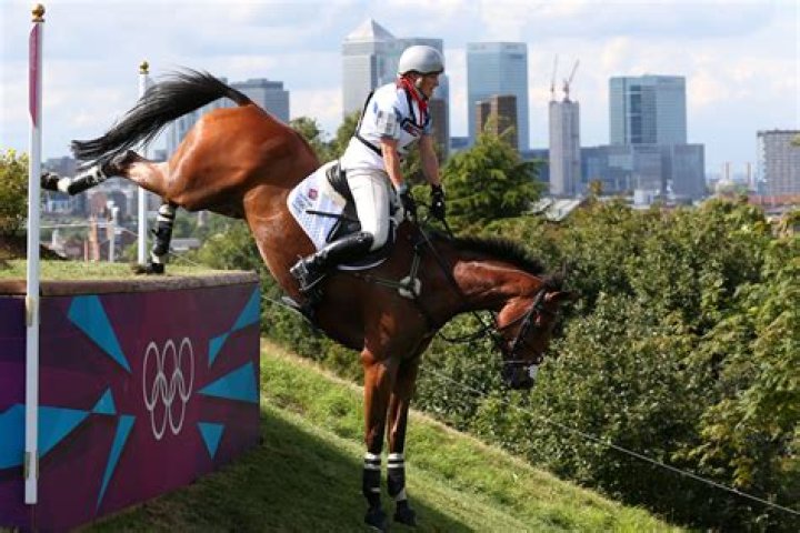 14 Facts About Pommel Horse