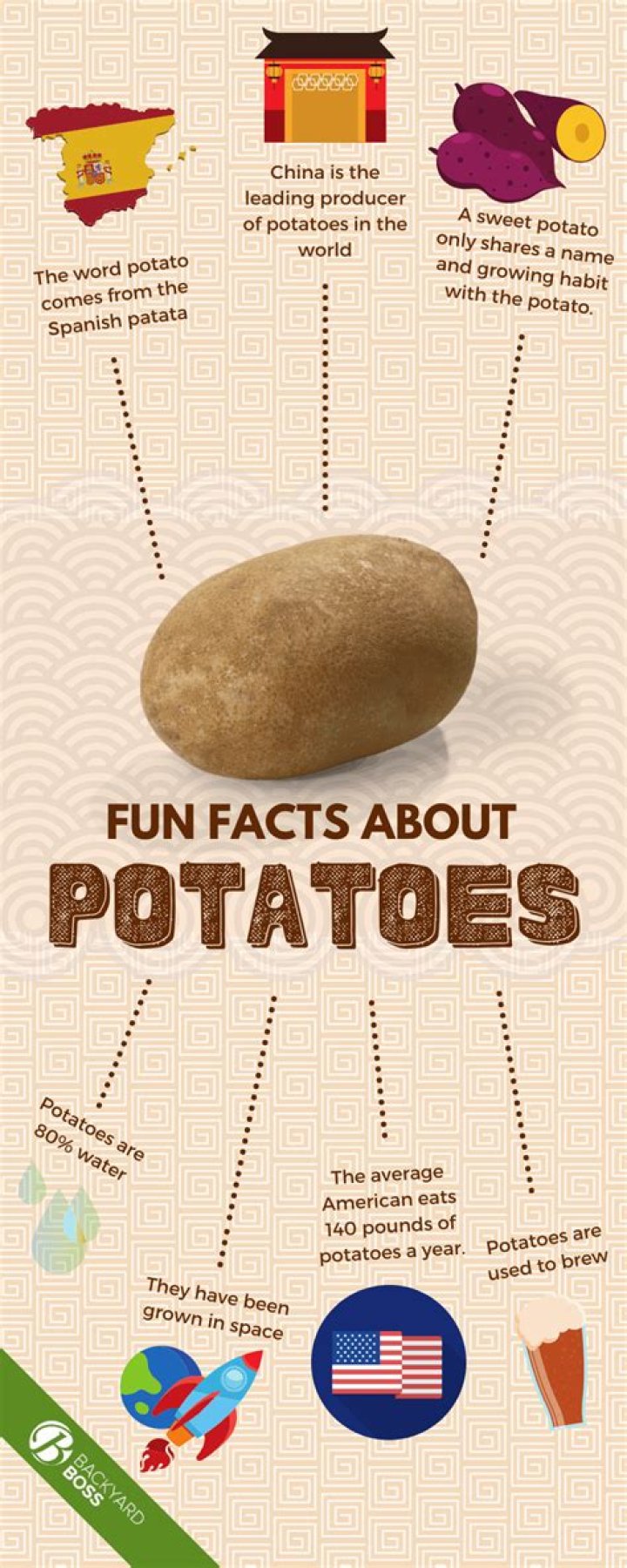 14 Facts About Potatoes - Facts.net
