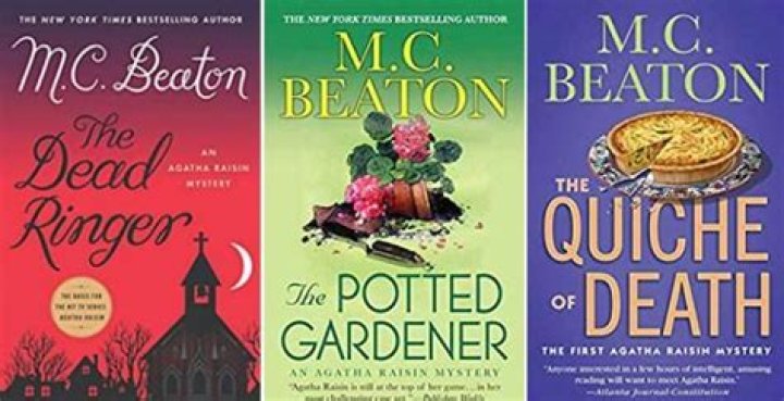 15 Best Mystery Series Books For Adults