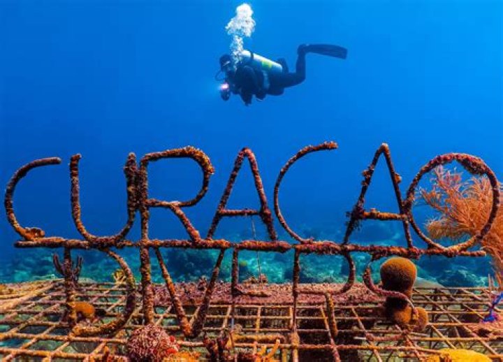 15 Captivating Facts About Curaçao Underwater Park