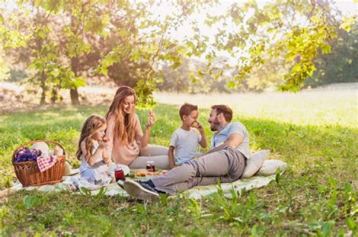 15 Facts About National Picnic Day (April 23rd)