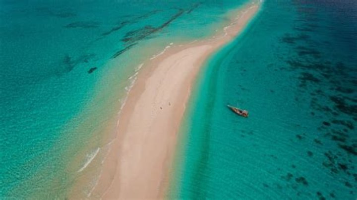 15 Fascinating Facts About Sandbar