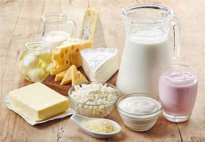 15 Fun Dairy Facts - Facts.net