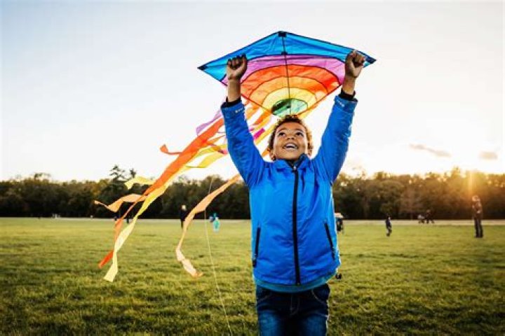 16 Captivating Facts About Kites For Kids