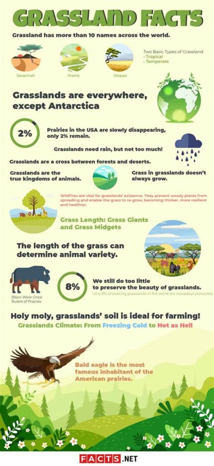 16 Facts About Grass - Facts.net