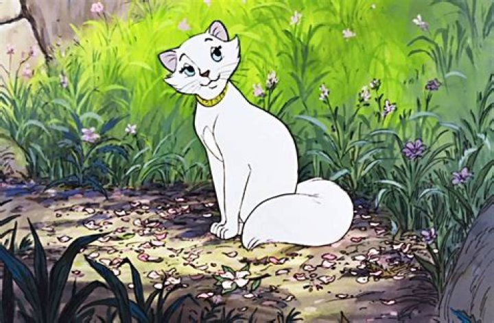 16 Facts About Thomas O'Malley (The Aristocats)