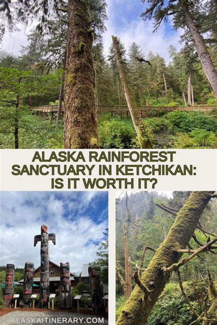 16 Surprising Facts About Alaska Rainforest Sanctuary