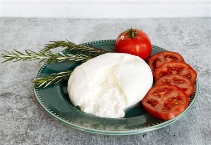 19 Burrata Cheese Nutrition Facts