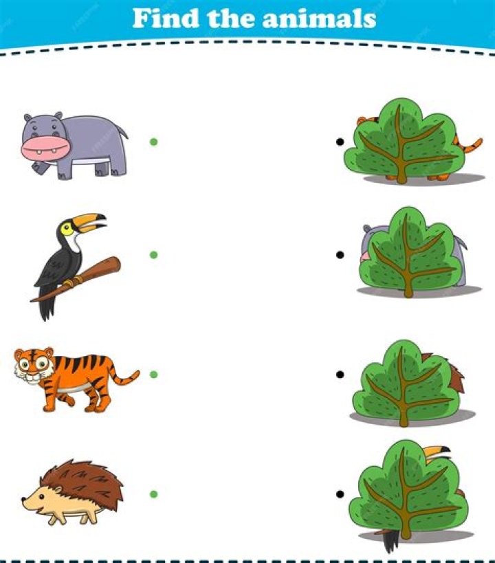 2 animaux cachés : Moins de 20 secondes pour les trouver ?