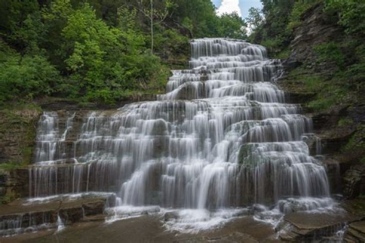 20 Enigmatic Facts About Hector Falls