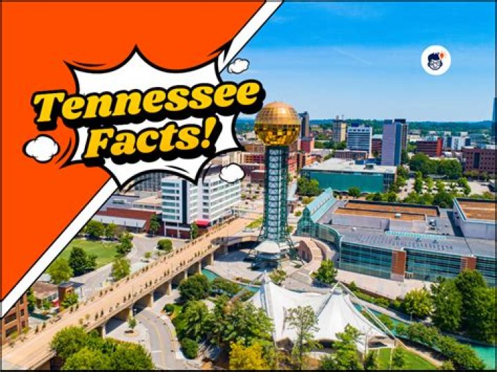 20 Enigmatic Facts About Tennessee Tea