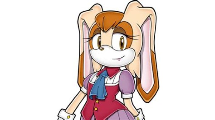 20 Facts About Vanilla The Rabbit (Sonic X)