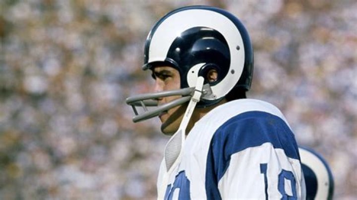 20 Surprising Facts About Roman Gabriel