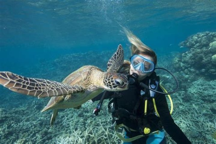 24 Captivating Facts About Marine Lorphelin