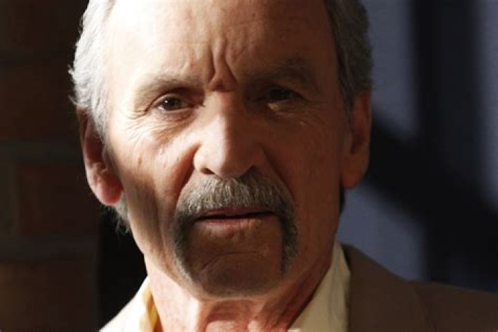 24 Surprising Facts About Muse Watson