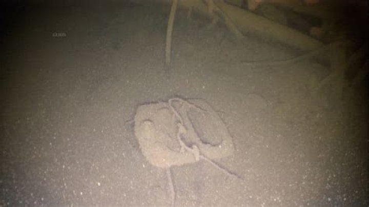3 Facts About The Nucleus, A 150+ Year Old Ship Discovered In Lake Superior
