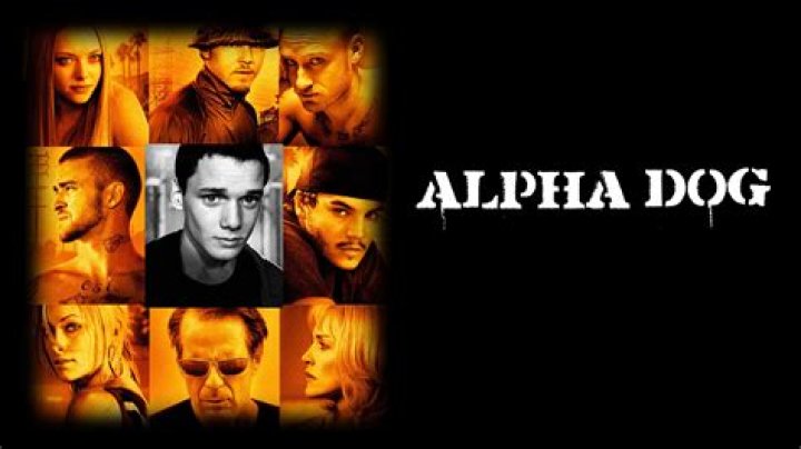 31 Facts about the movie Alpha Dog