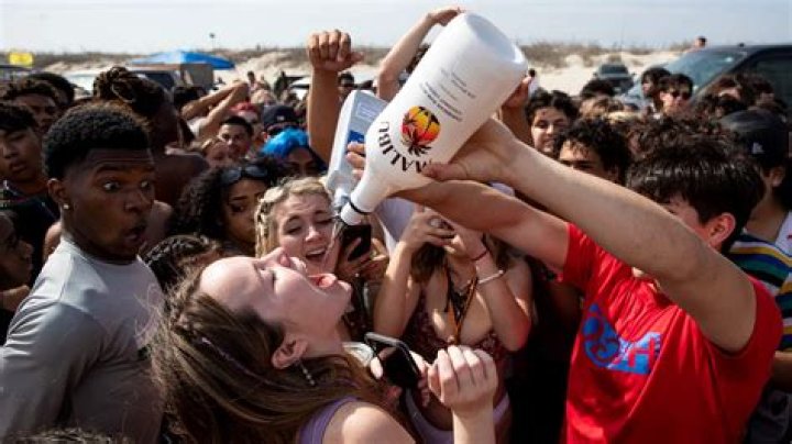 31 Facts about the movie Spring Breakers