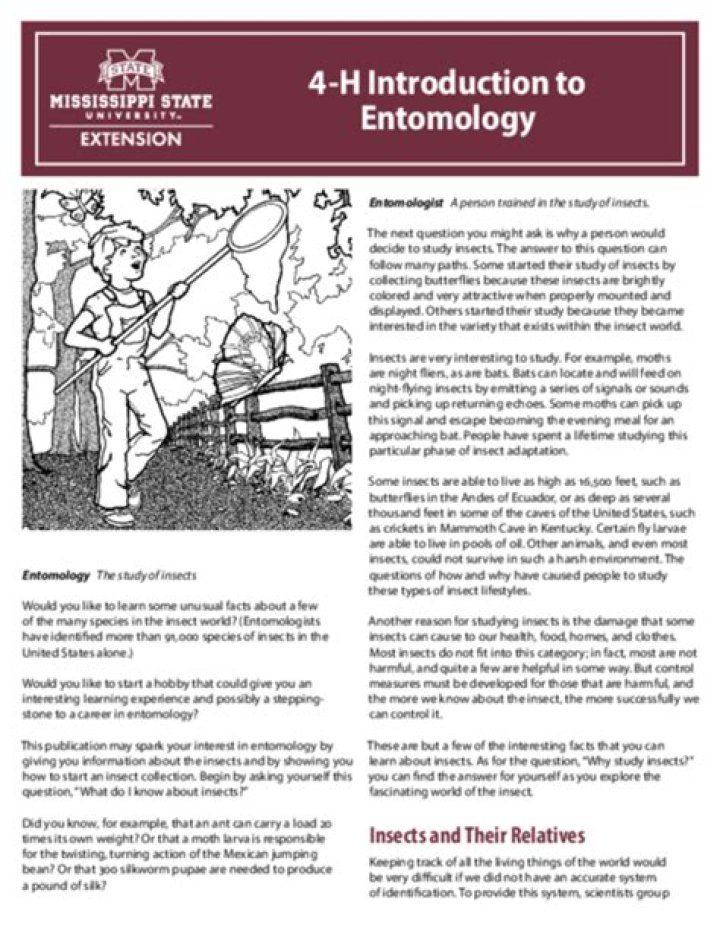 4-H Introduction to Entomology | Mississippi State University Extension Service