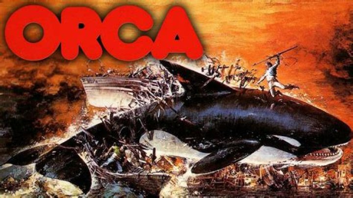 46 Facts about the movie Orca