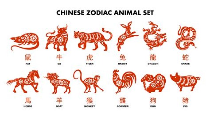 5 Chinese Zodiac Signs With Lucky Weekly Horoscopes, March 18 - 24, 2024