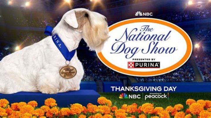 5 Things We Learned From the National Dog Show 2015