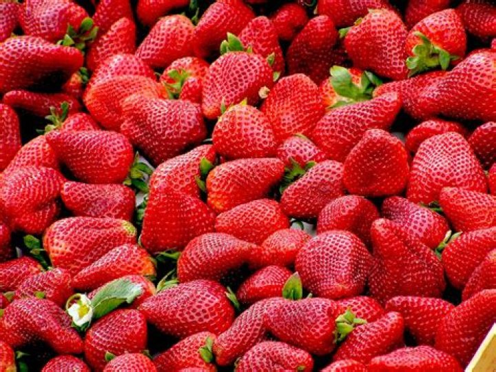 50 Berry Strawberry Facts That Will Amaze You