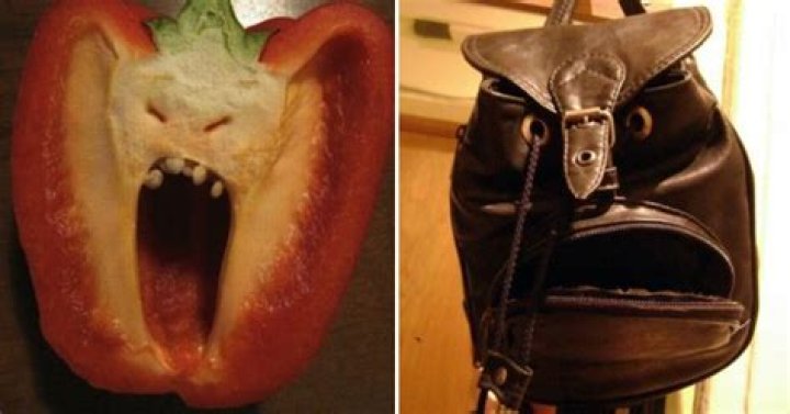 50+ Funny, Scary Photos Of Things That Look Like Faces