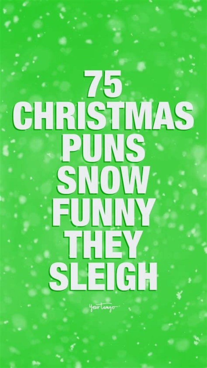 75 Best Christmas Puns Snow Funny They Sleigh