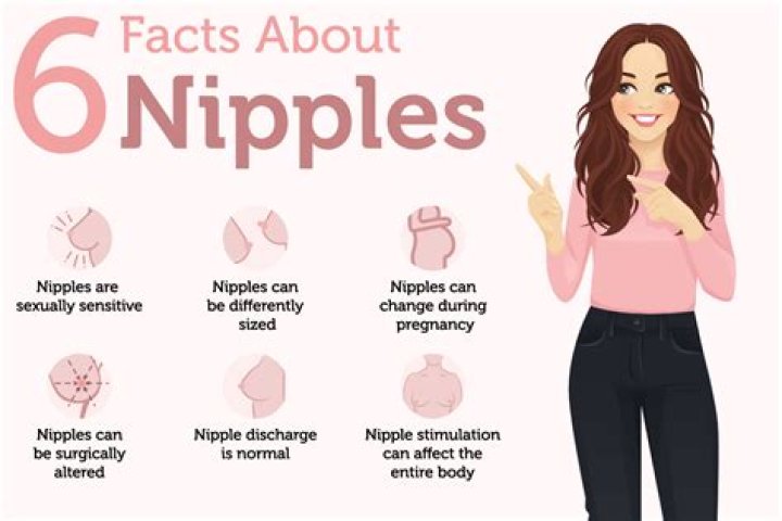 8 Different Types Of Nipples And How To Know Which Kind You Have
