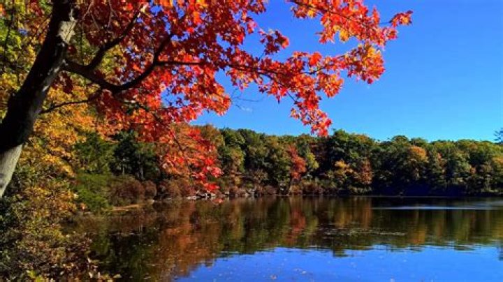 8 Intriguing Facts About Bruce Lake