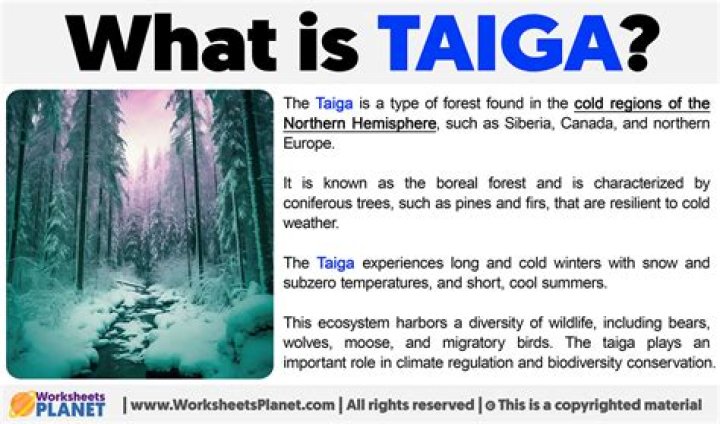 9 Surprising Facts About Taigan