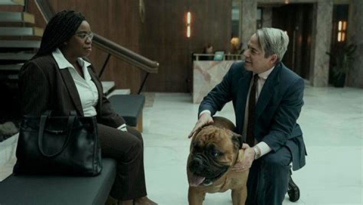 9 TV Shows and Specials to Watch in August
