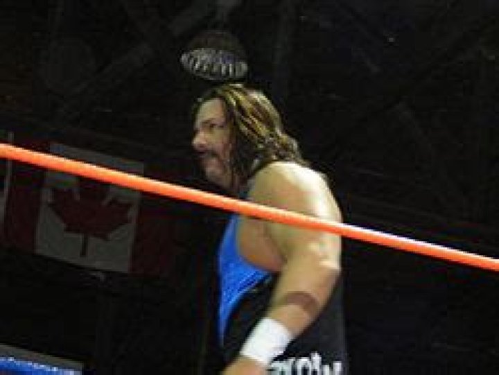 Al Snow Net Worth  - Pulptastic