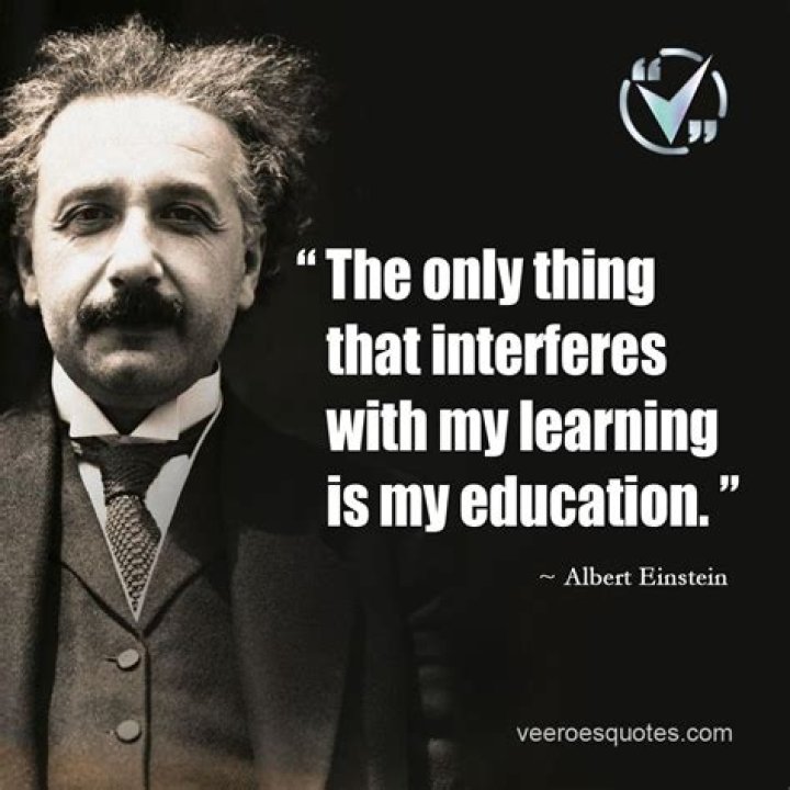 Albert Einstein Quotes About Learning