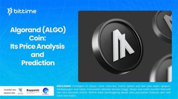 Algorand’s Turbulent Price: Can Its Technological Triumphs Ensure Longevity?