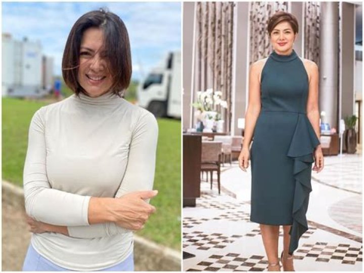 Alice Dixson Biography, Age, Height, Boyfriend, Net Worth