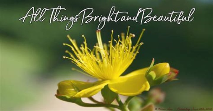 	All Things Bright and Beautiful	