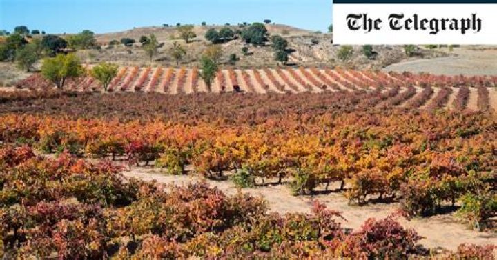 An alternative winter wine escape in 'Spain's Napa Valley'